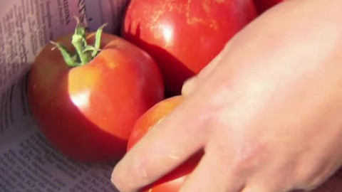 Proč chudoba? - Waste (Valentin Thurn / Německo)