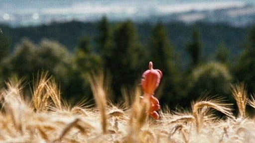 Kuky se vrací - Trailer 30"