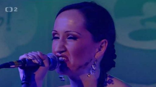 Bára Basiková: Pane, vy jste vdova