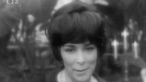 Hana Hegerová: Lásko má