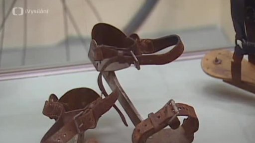 Muzeum hlavního města Prahy