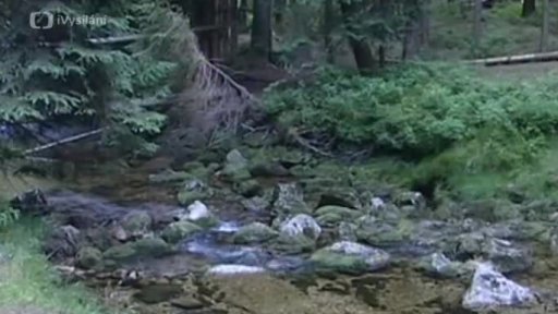 Desná v Jizerských horách