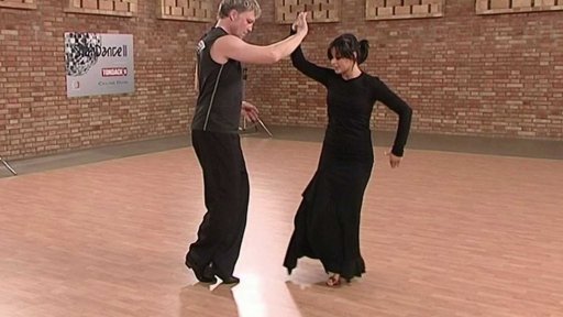 Medailonek páru Michal Dlouhý a Michaela Gatěková