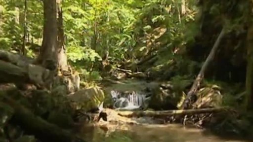 Rešovské vodopády