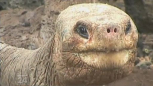 Vyjimečný živočich na Galapágách