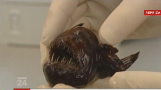 Depozitář muzea v Austrálii