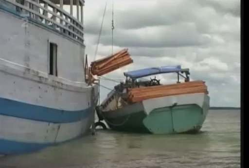 Návštěva deštných pralesů z Greenpeace