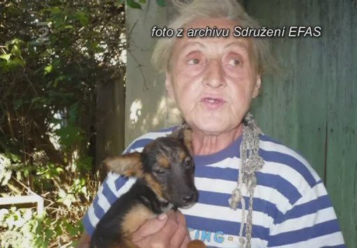 Kauza otrávených psů v Olomouci a nabídka psů z Olomouce