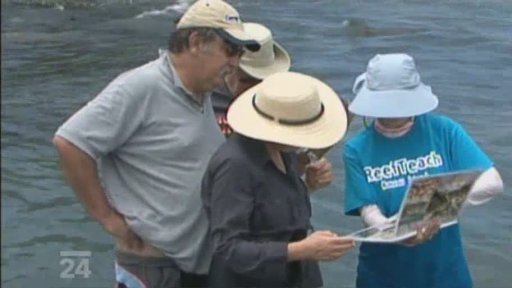 Ekosystém na Havaji