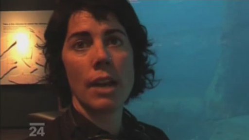 Ráj podmořských živočichů