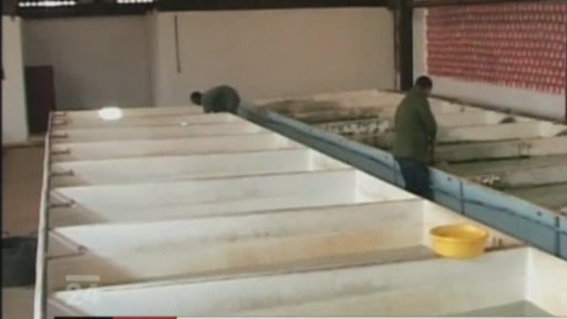 Kuba- umělé rybí sádky