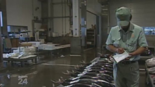 Světový den oceánů