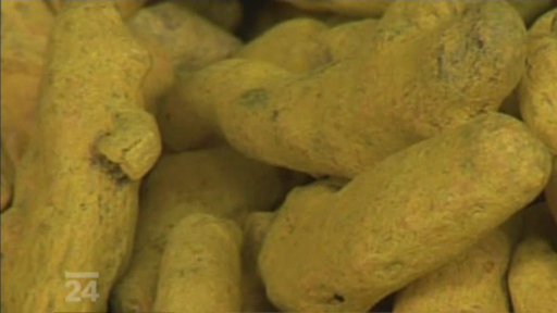 Ofenzíva na poli farmaceutického průmyslu v Indii