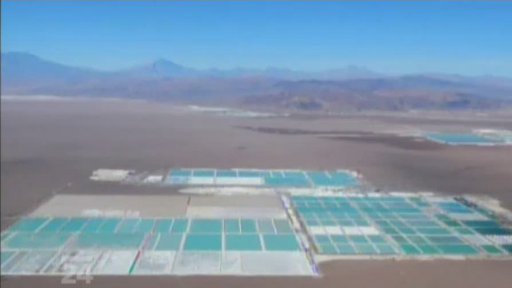 Plameňáci andští před vážnou hrozbou