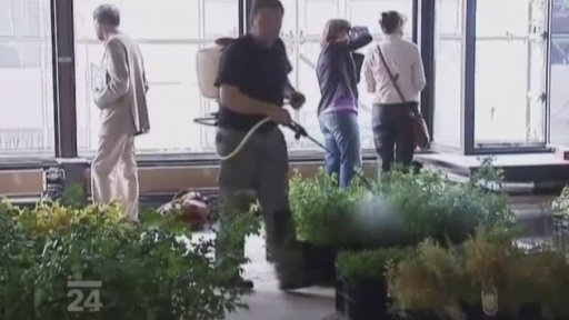 Organizované městské džungle