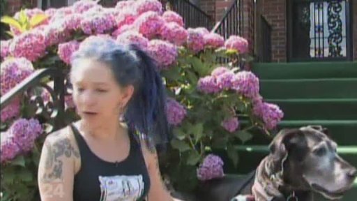 Léčba zvířat pomocí akupunktury