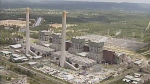 Mikroskopická řasa