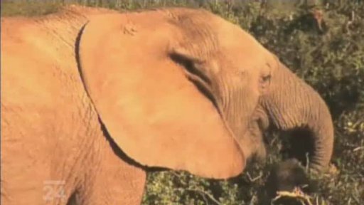 JAR: jeden z největších přírodních parků světa