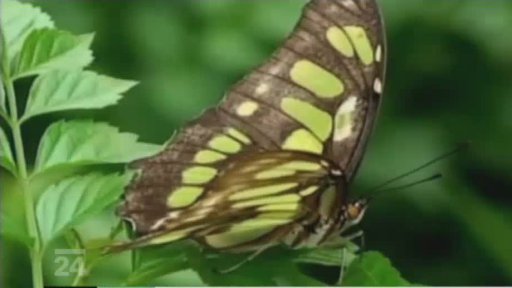 Botanická zahrada v Bogotě