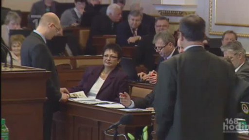 Malostranské korekce