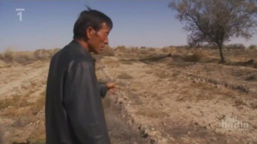 Globální oteplování