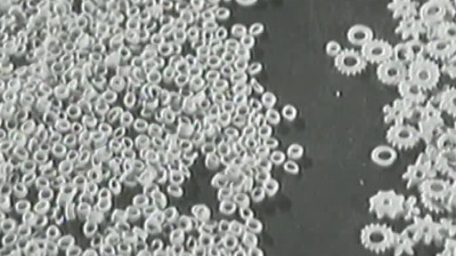 Hotové těstoviny (1949)