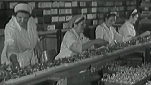 Děčínské čokoládovny (1953)