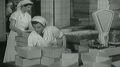 Stollwerck Bratislava (1956)