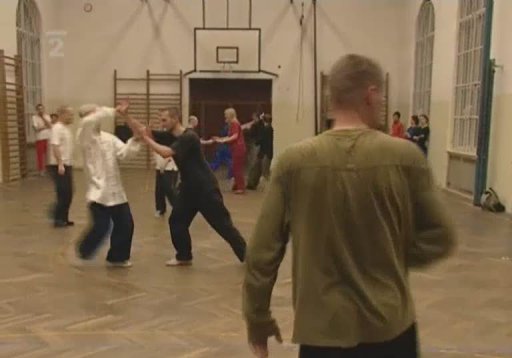 Portrét: Mistr Zhang Hoi Yin