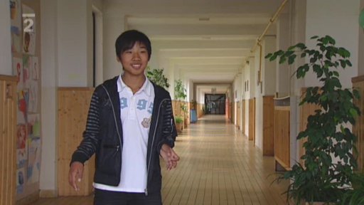 Sonda: "Čínská" škola