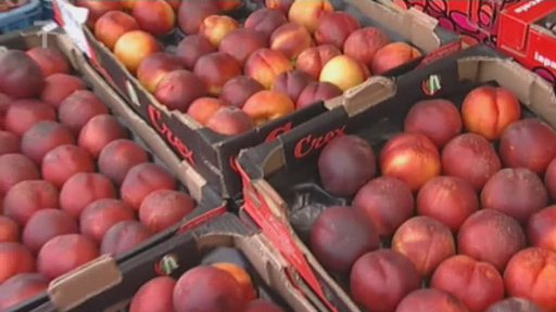 EU Genetické modifikace