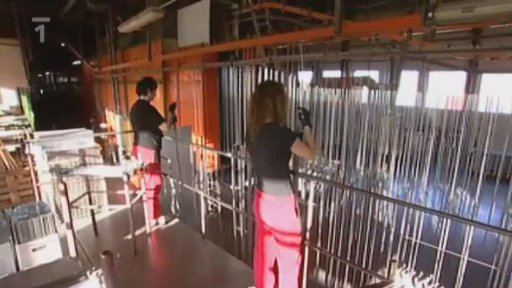 Podpora zaměstnanosti