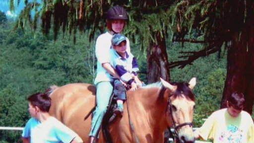 o.s.CEREBRUM 2007, Marcela Janečková