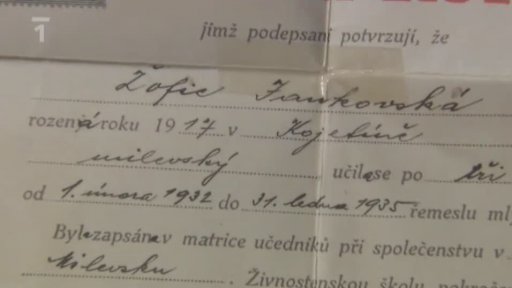 Portrét: František Mikyška - sekerník