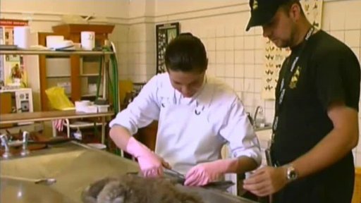 Seriál o ochraně přírody