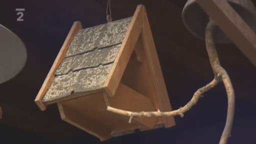 Ochrana přírody: Zimní přikrmování drobného ptactva