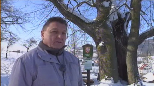 Pulčínské ledopády