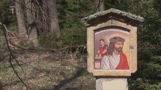 Krajem lišky Bystroušky