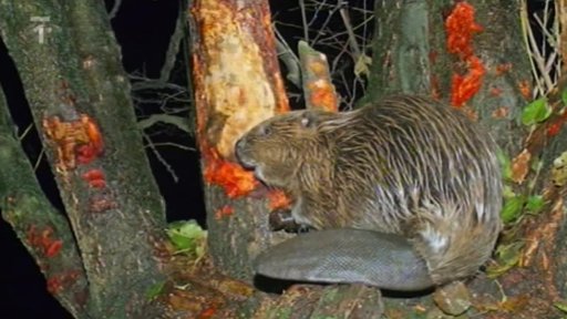 Naučná stezka Vodní svět