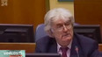 V Haagu začal proces s R. Karadžićem