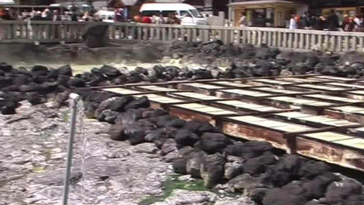 Japonsko na vozíku I.