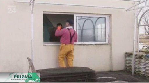 Testy ústřic na myších