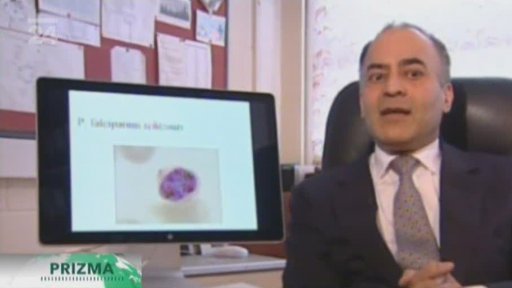 Egypt - Tutanchamonova tajemství