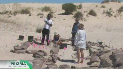 Jihoafrická republika - fosílie