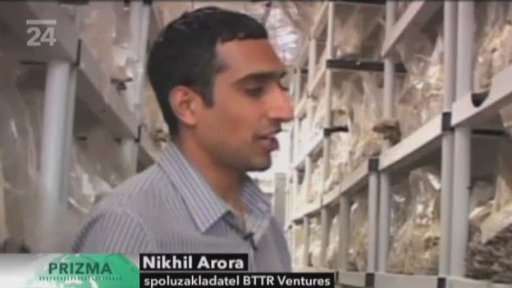 Čerstvé houby pěstované v kávové sedlině