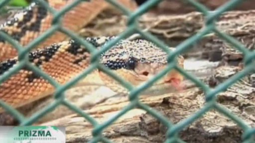 Přírodní protijed