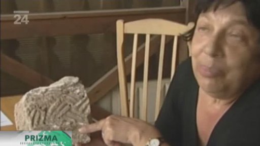 Soči se připravuje na zimní olympiádu