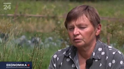 Malý byznys: Jedlé květy