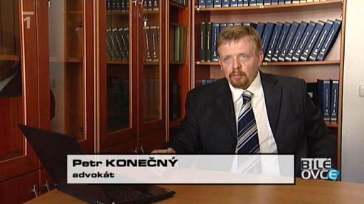 Podílové spoluvlastnictví