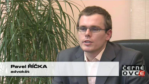 Krádeže v zaměstnání